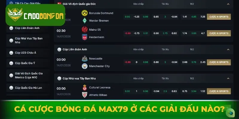 Có thể cá cược bóng đá Max79 ở các giải đấu nào?